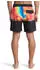 Quiksilver Everyday 16
