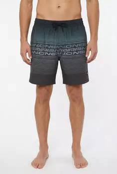 O'Neill Logo Stripe 16'' Badeshorts gr&uuml;n/anthrazit