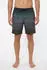 O'Neill Logo Stripe 16'' Badeshorts grün/anthrazit