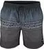 O'Neill Logo Stripe 16'' Badeshorts grün/anthrazit