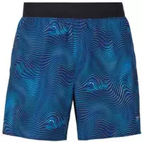 Speedo 8004651_C17AD, Speedo Print Lookout Volley 16" Herren Badehose, blau male