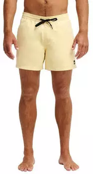 Quiksilver Everyday Solid Volley 15" Boardshorts (EQYJV04120) straw