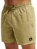 Quiksilver Everyday Surfwash Volley 15