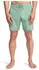 Billabong Every Other Day Boardshorts (76306659) grün ash