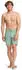 Billabong Every Other Day Boardshorts (76306659) grün ash