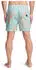 Billabong Vacay Lb Badeshorts (EBYJV00159) dusty blue