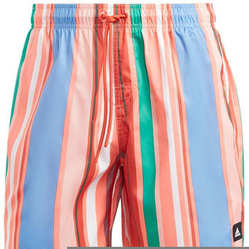 Adidas Striped Clx Sl Swimming Shorts (IA7753) mehrfarbig