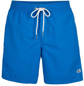O'Neill N03200 Vert Swim 16" Swimming Shorts (N03200-15019) blau