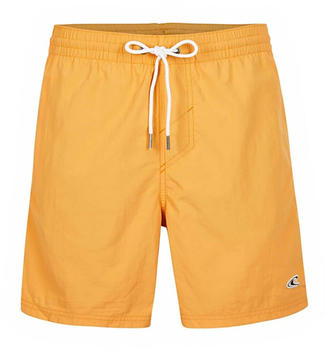 O'Neill N03200 Vert Swim 16" Swimming Shorts (N03200-17016) orange
