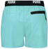 Puma 100000030 Swimming Shorts (100000030) grün