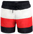 Tommy Hilfiger Medium Bold Flag Swimming Shorts (UM0UM02936)