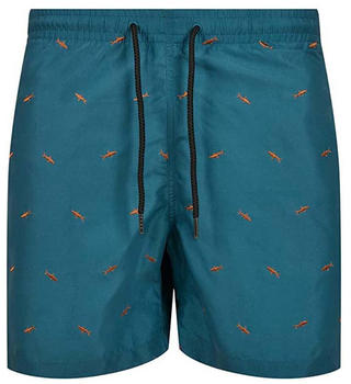 Urban Classics Embroidery Swimming Shorts (TB2680) blau