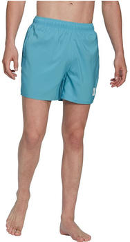 Adidas Solid Clx Sl Swimming Shorts (HT2161) blau