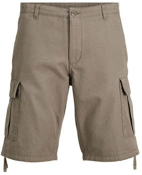 Jack & Jones Cole Barkley Cargo Shorts (12248685) BungeeCord