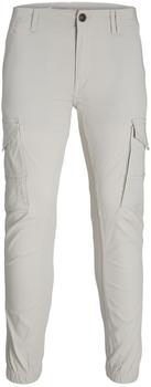Jack & Jones Hose 'JJIPaul JJFlake' ecru 9031774