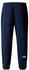 The North Face Simple Dome Light Jogger Hose braun