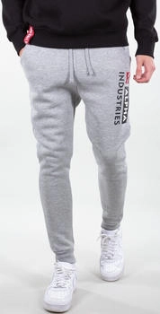 Alpha Industries Block-Logo Jogginghose grau
