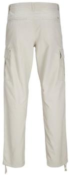 Jack & Jones Hose 'JPSTKane JJBarkley' hellgrau 23185789