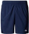 Shorts (NF0A3O1B) summit navy