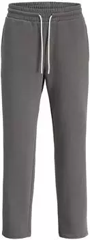 Jack & Jones JPSTKarl Caspar Hose grau weiß