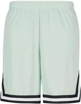 Karl Kani KM-PS011-105-06 Signature Essential Mesh Shorts light mint