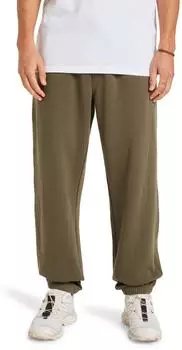 Quiksilver Graphic Pant Jogger Hose (EQYFB03402-CRE0) grape leaf