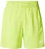 The North Face 24/7 Shorts