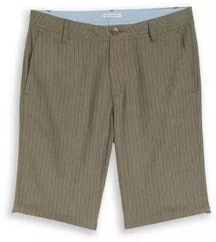 Tom Tailor Regular Fit Leinenshorts (1049623) leaf green stripe