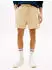 Tommy Hilfiger Shorts Regular Fit (DM0DM21931) beige