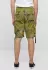 Brandit Urban Legend Shorts swedish camo