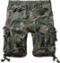 Brandit Shorts Vintage (2002)