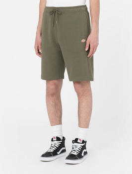 Dickies Mapleton Shorts (DK0A4Y83) green