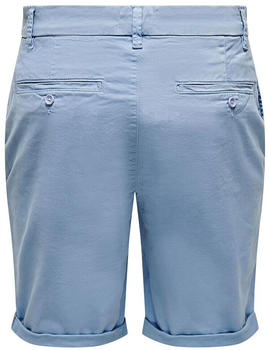Only & Sons Peter 4481 Shorts (22024481) Mountain spring