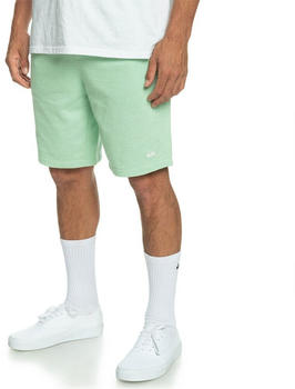 Quiksilver Bayrise Sweat Shorts (EQYFB03322) green