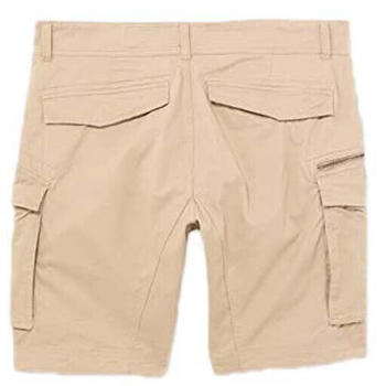 Replay Shorts (M9907.000.84387) beige