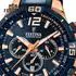 Festina Chrono Bike Special Edition F20524/1