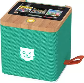 Tiger Media tigerbox Touch Plus gr&uuml;n