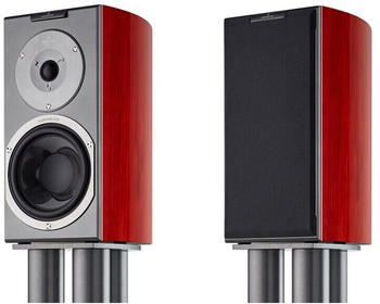 Audiovector R1 Signature rosenholz