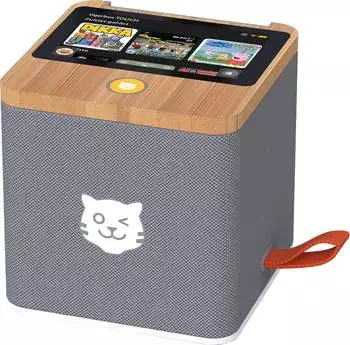 Tiger Media tigerbox Touch Plus grau