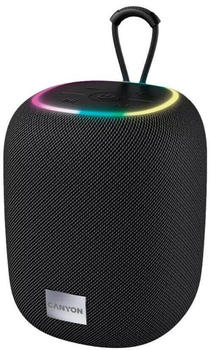 Canyon Bluetooth Lautsprecher (CNE-CBTSP8) schwarz
