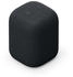 Black: Sony LinkBuds Speaker