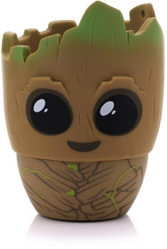 Bitty Boomers Groot
