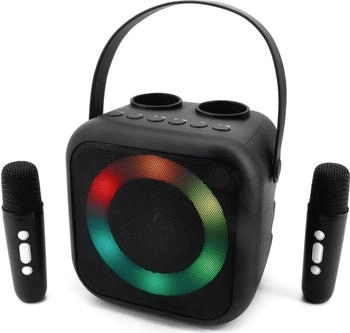 Soundmaster BT2024SW (Akkubetrieb, Netzbetrieb), Bluetooth Lautsprecher, Schwarz