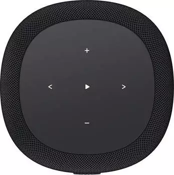 WiiM Sound Lite schwarz – WiiM Sound Lite schwarz für kabellosen Hörgenuss in jedem Raum