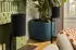 Sonos Era 100 SL schwarz
