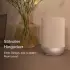 Denon Home 200 Silver