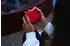 JBL Go 5 Red
