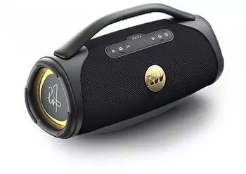 Peaq ICONIC Vibe 4 PPA 700-RW Robbie Williams