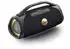 Peaq ICONIC Vibe 4 PPA 700-RW Robbie Williams