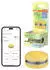 Osram Smart Macaron gelb